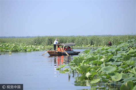 白洋淀旅遊怎樣？深度探索其魅力與反思